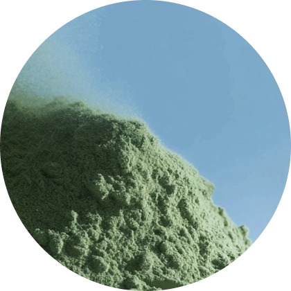 A measured culture representing the microbial functions detected in a sample